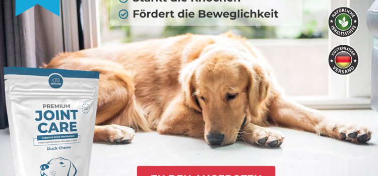 Premium Joint Care von Anicare – die natürliche Lösung für Hunde mit Gelenkproblemen