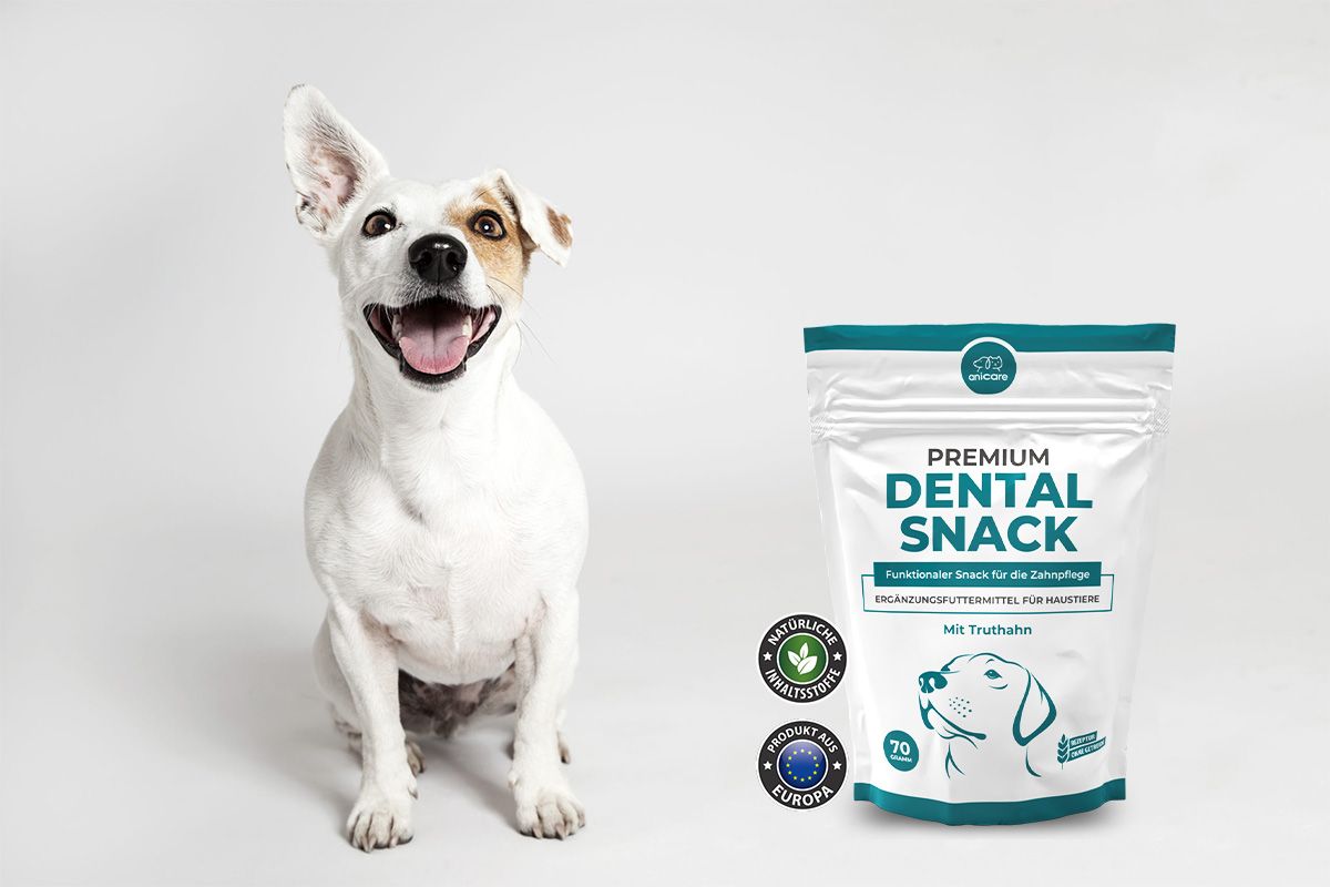 Anicare Dental Snack